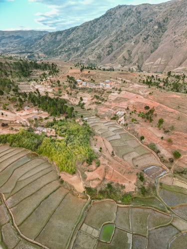 Le Pouvoir de la Nature : Une Source d'Équilibre et de Bien-être