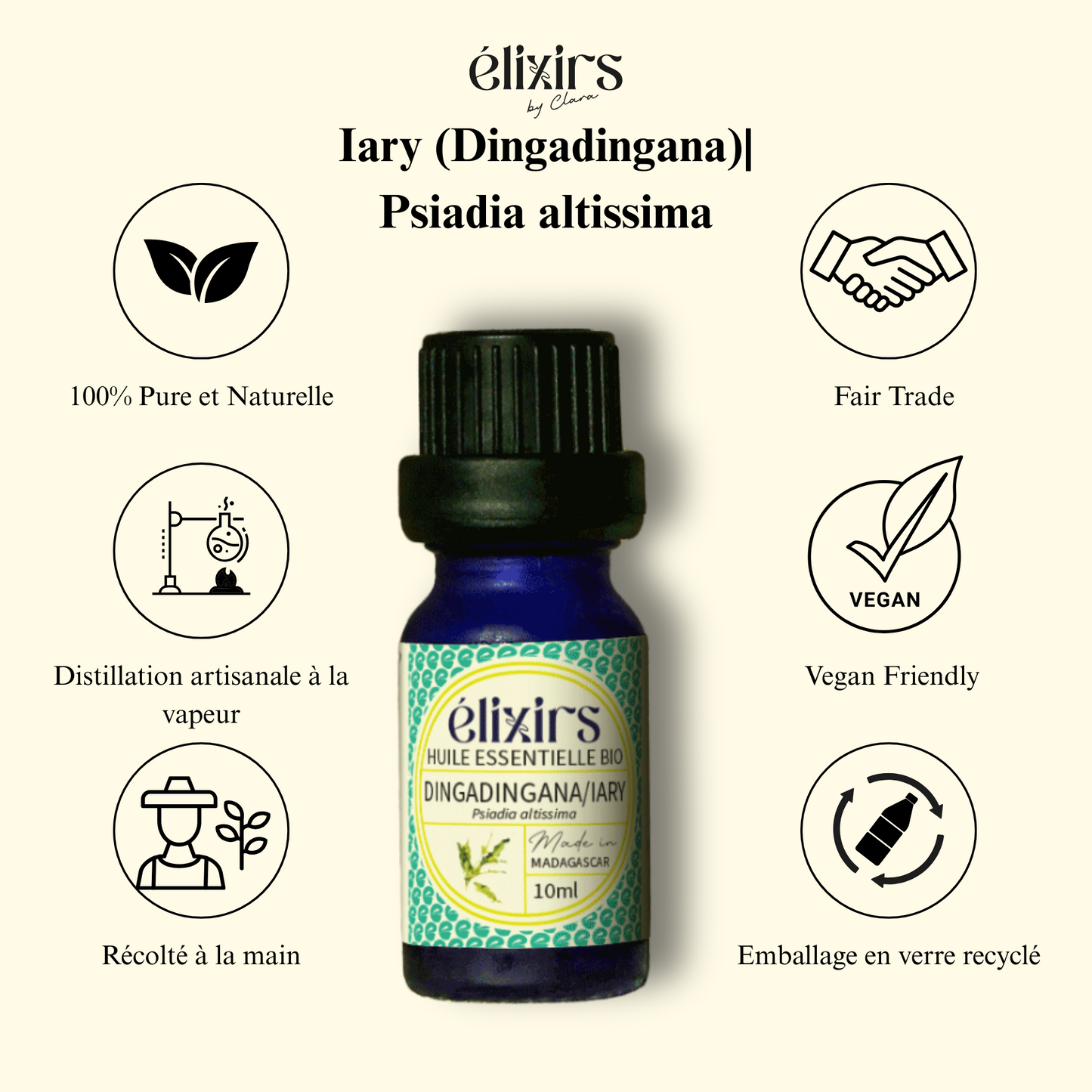 Iary/ Dingadingana|  Tradition, fraîcheur et équilibre de Madagascar