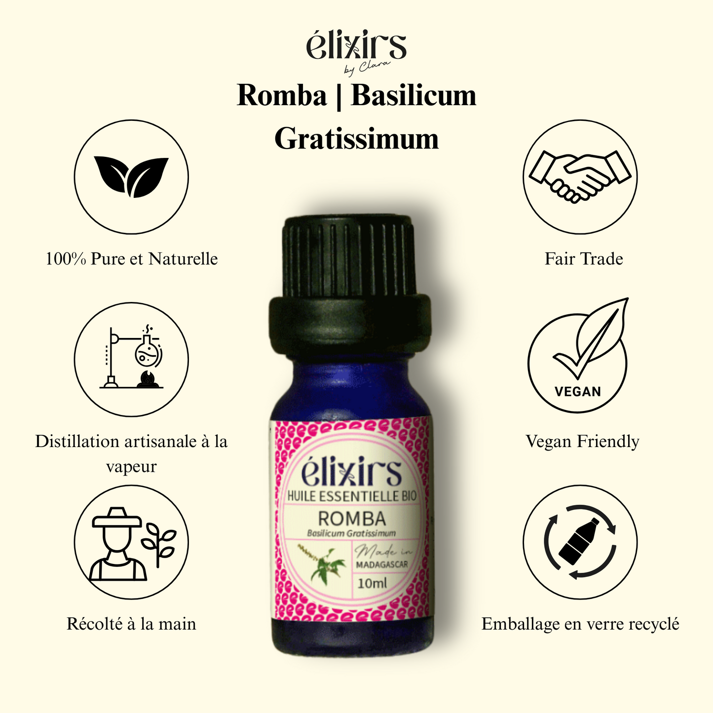 Romba| Basilicum Gratissimum