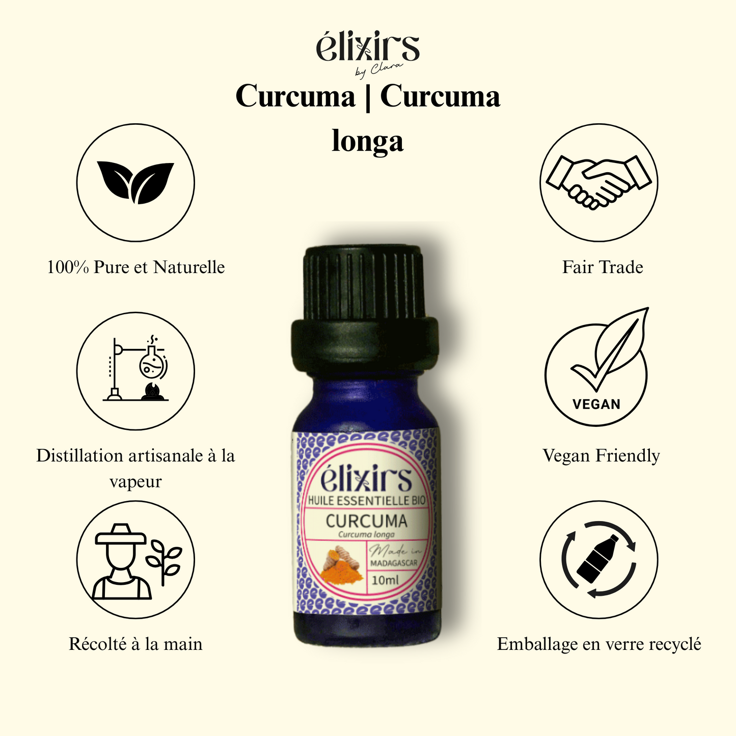 Curcuma | Curcuma Longa