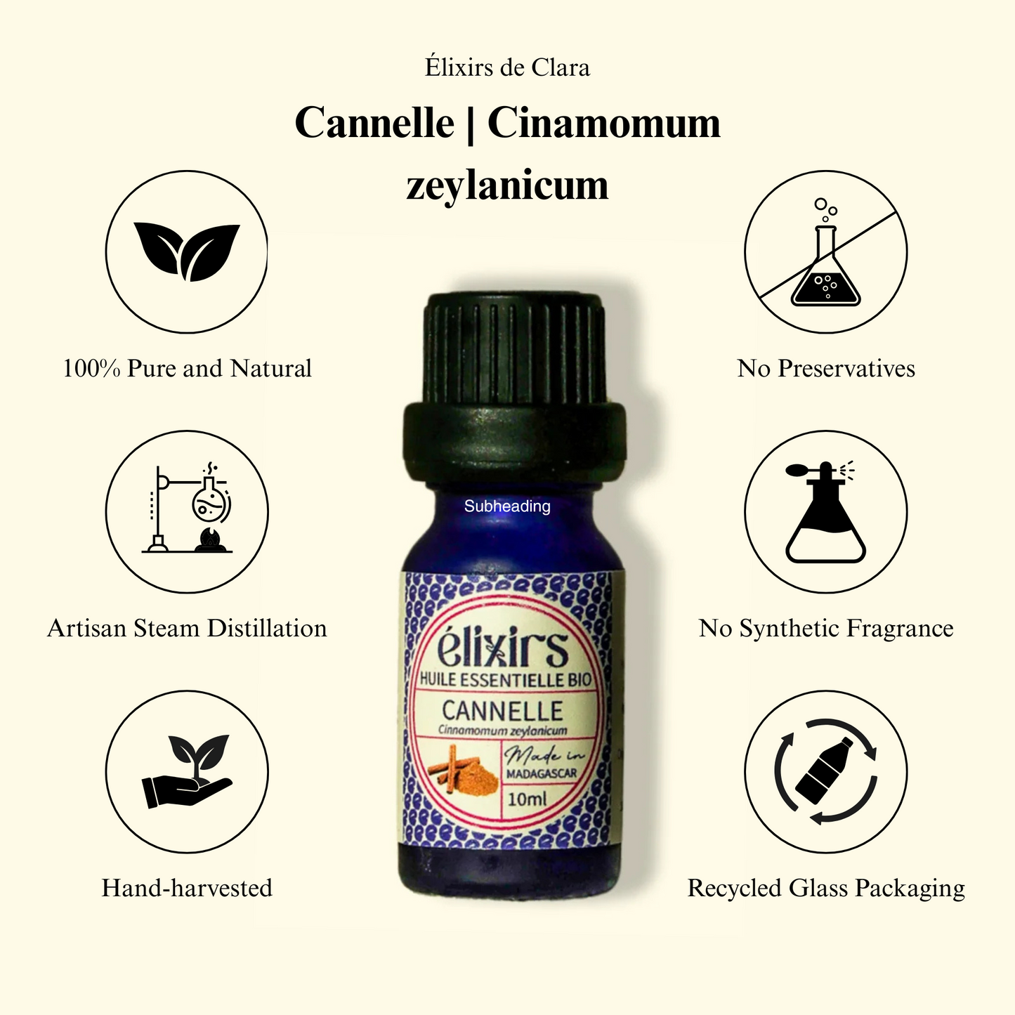 Cannelle | Cinamomum zeylanicum