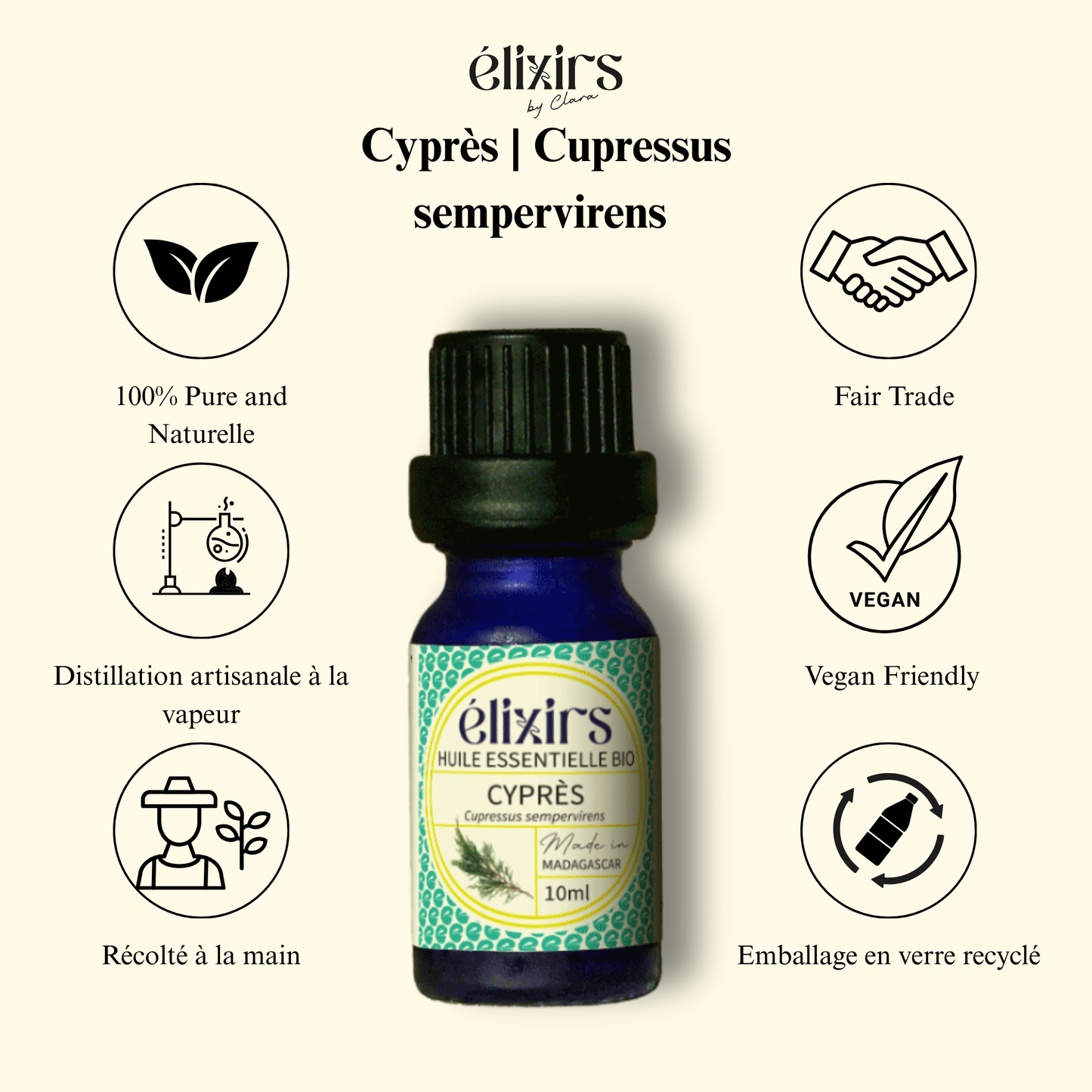 Cyprès | Cupressus sempervirens