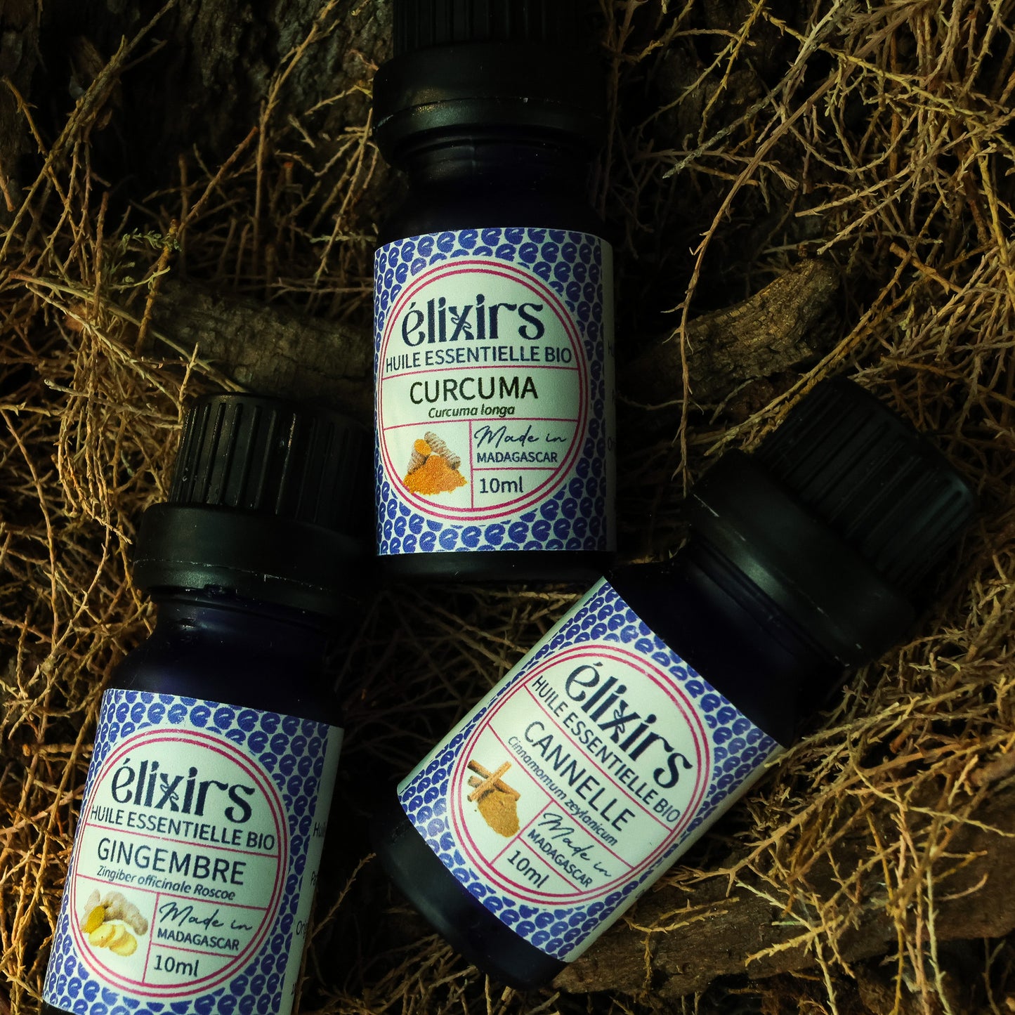 Curcuma | Curcuma Longa-ÉLIXIRS de CLARA™️ - Aromathérapie Bio