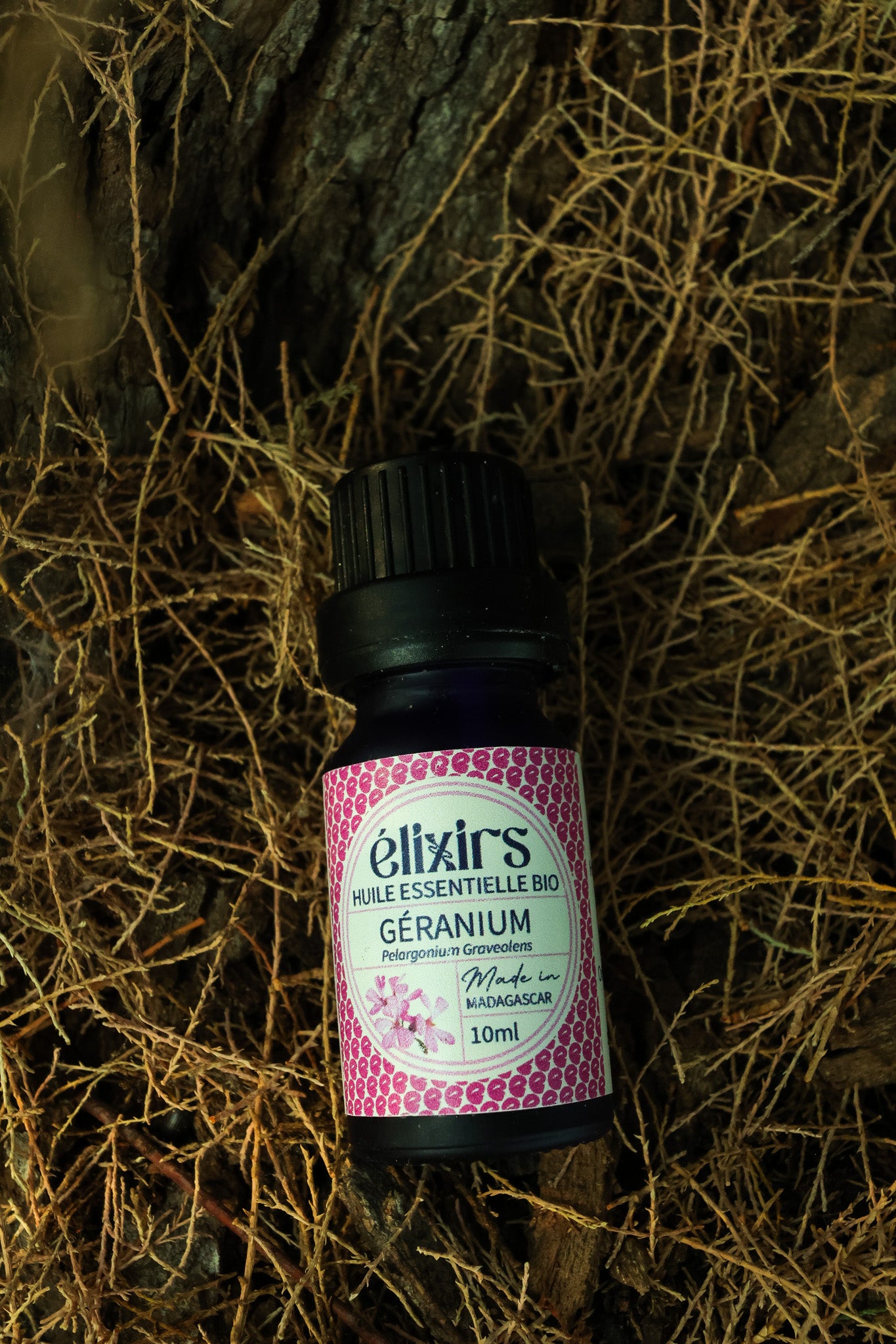 Géranium Rosat | Pelargonium Graveolens cv Bourbon-ÉLIXIRS de CLARA™️ - Aromathérapie Bio