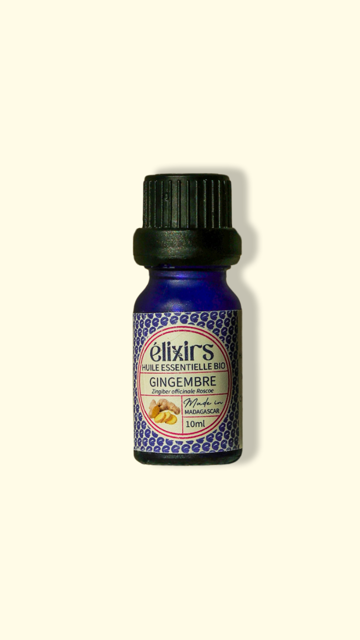 Gingembre | Zingiber officinale-ÉLIXIRS de CLARA™️ - Aromathérapie Bio