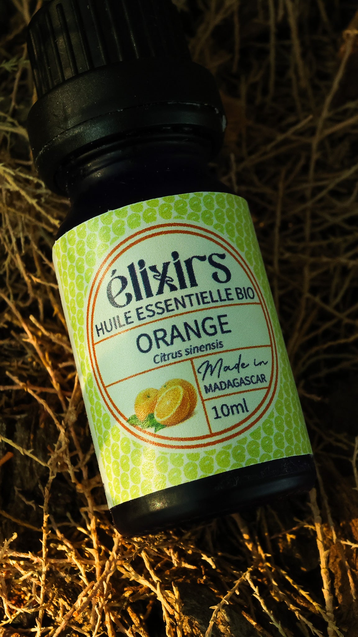 Orange | HE Citrus sinensis