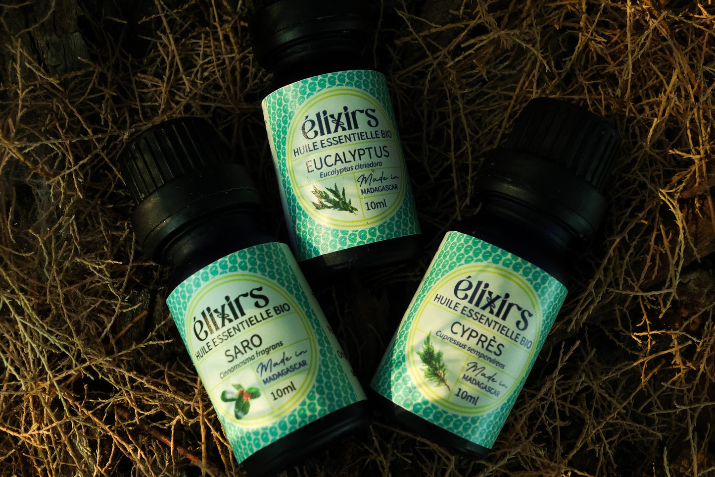 Eucalyptus | Eucalyptus citriodora-ÉLIXIRS de CLARA™️ - Aromathérapie Bio