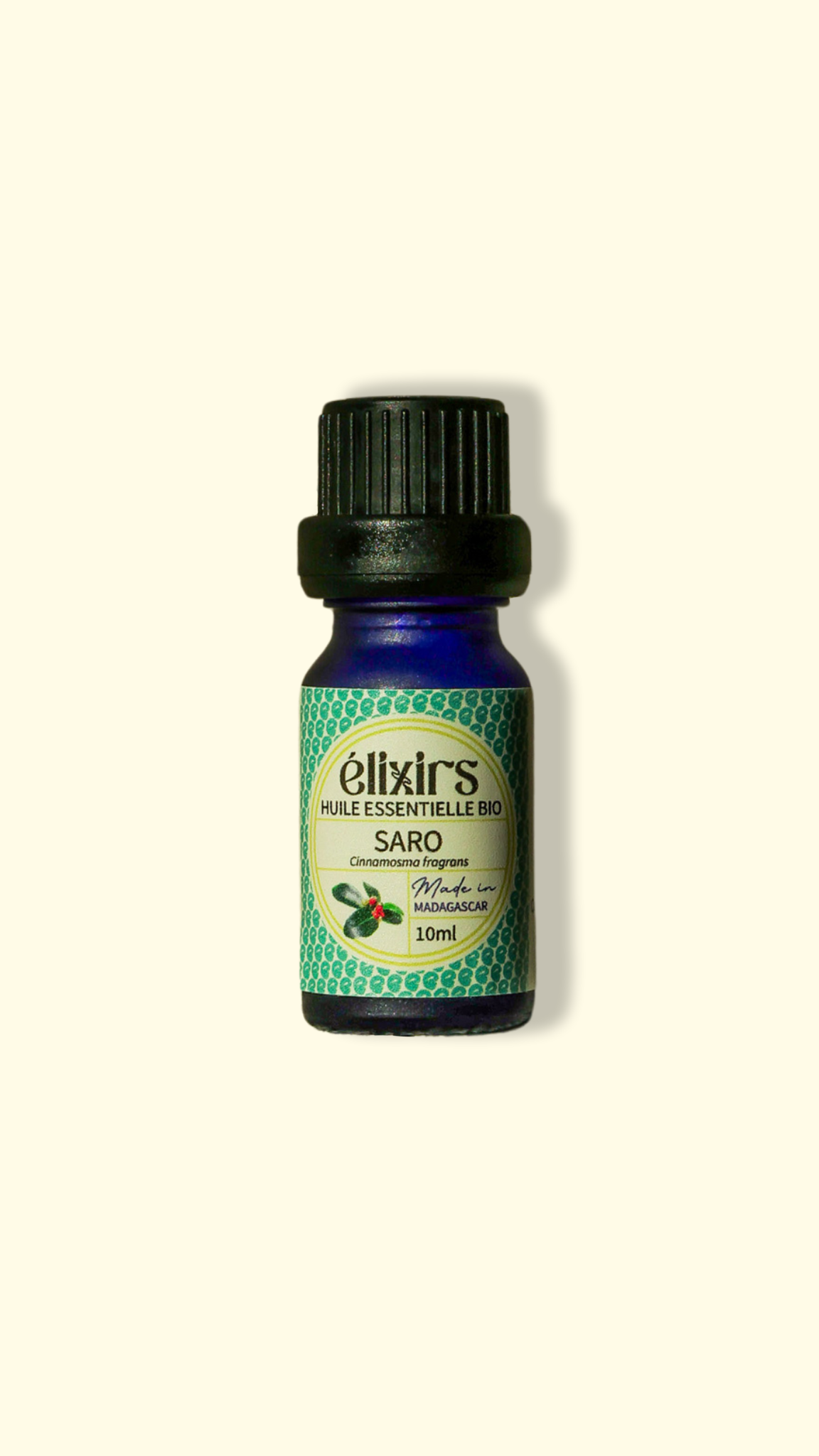 Mandravasarotra (Saro) | Cinnamosma fragrans