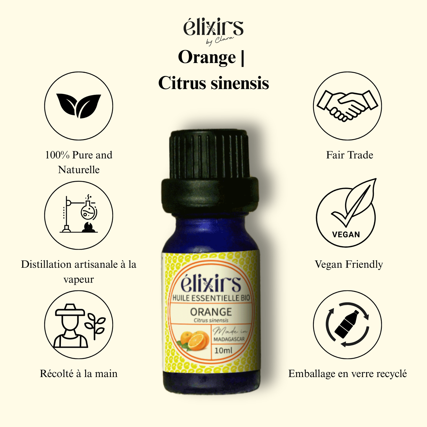 Orange Douce | Citrus sinensis