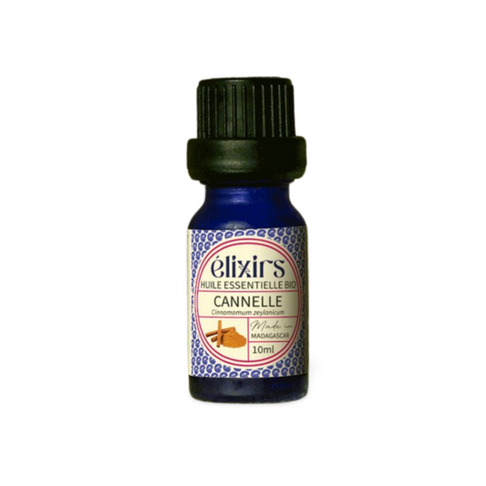 Cannelle | Cinamomum zeylanicum