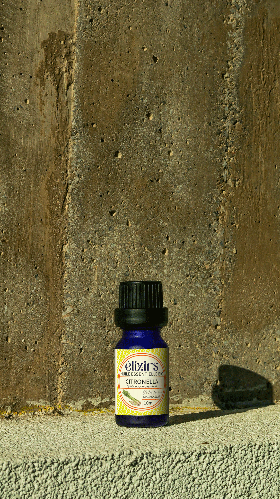 Citronnelle | Cymbopogon nardus
