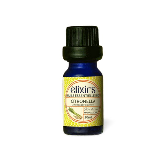 Citronnelle | Cymbopogon nardus