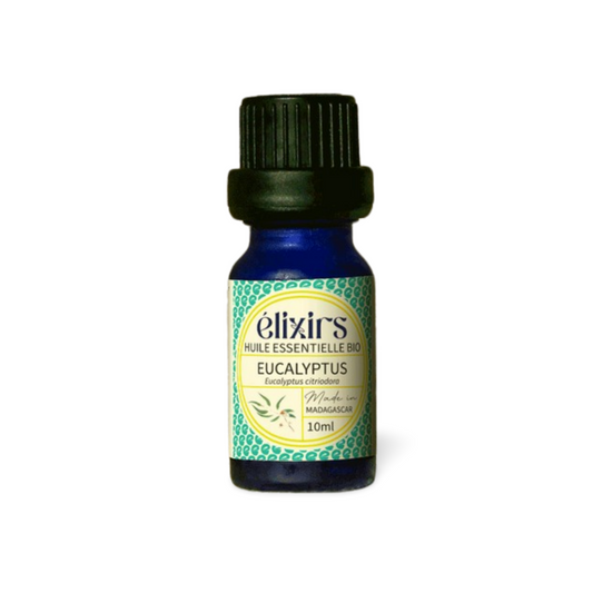 Eucalyptus | Eucalyptus citriodora