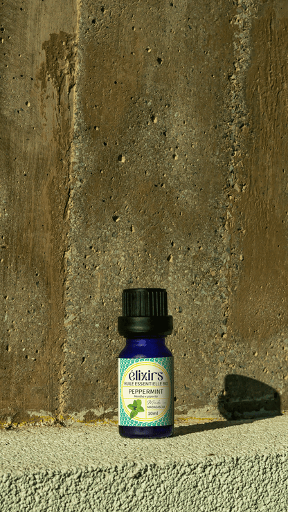 Menthe Poivré (Peppermint) | Mentha x piperita