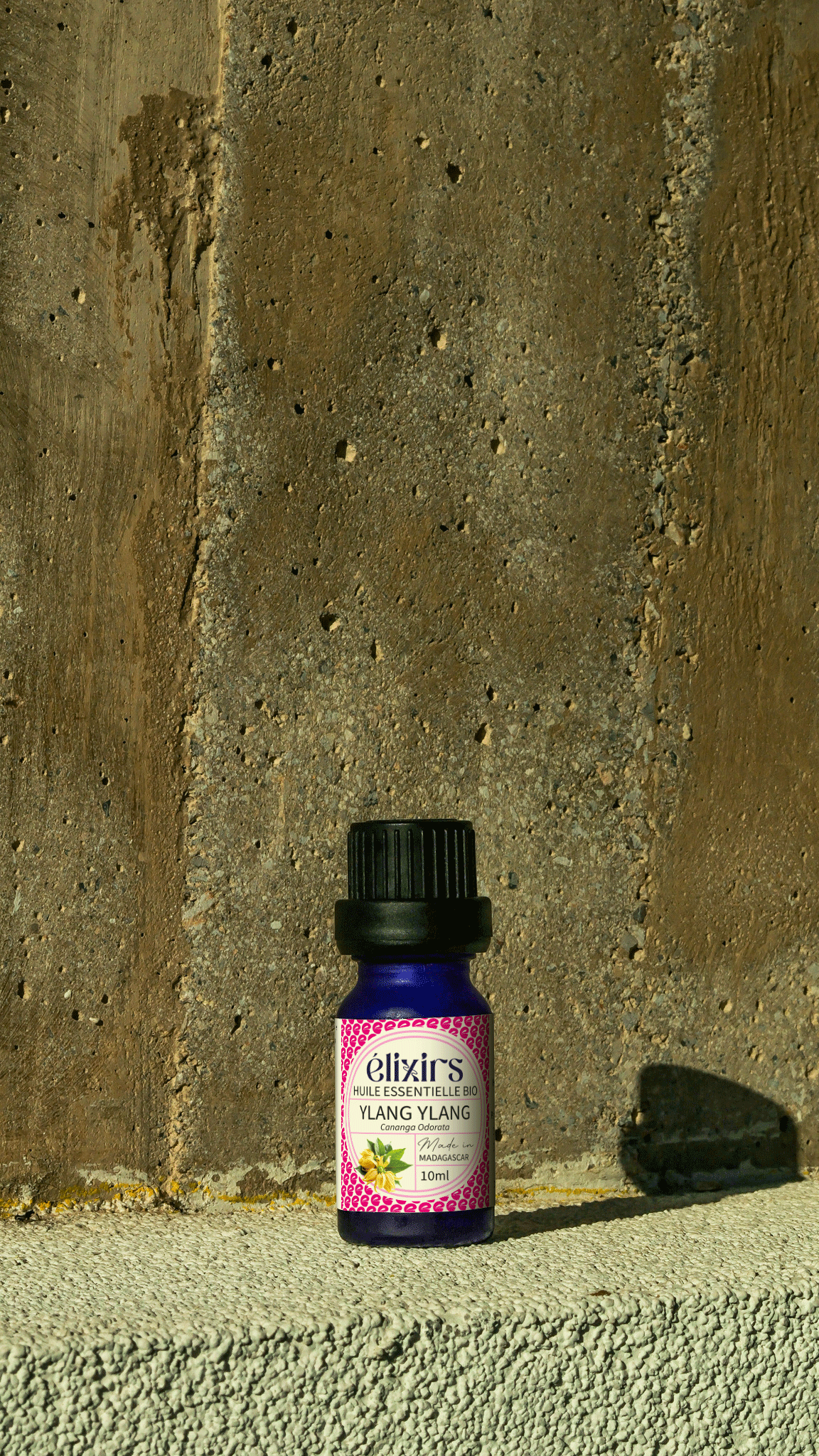 Ylang Ylang | Cananga odorata