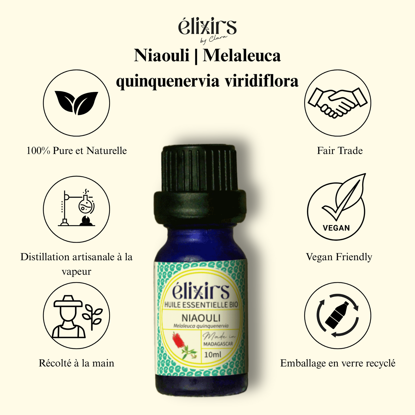 Niaouli | Melaleuca quinquenervia