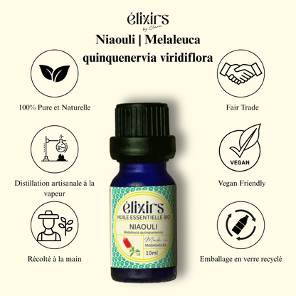 Niaouli | Melaleuca quinquenervia