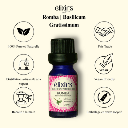 Romba| Basilicum Gratissimum