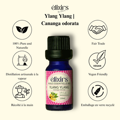 Ylang Ylang | Cananga odorata