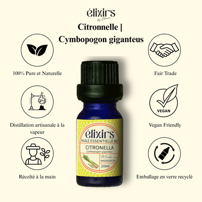 Citronnelle | Cymbopogon nardus