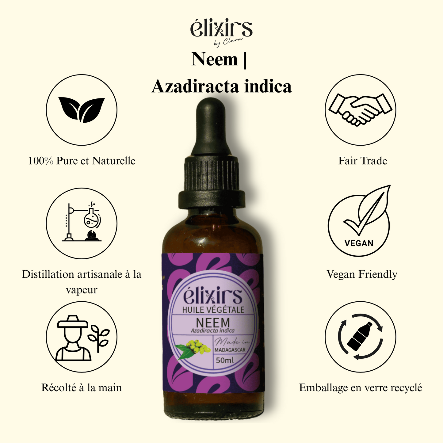 Neem | Azadiracta indica