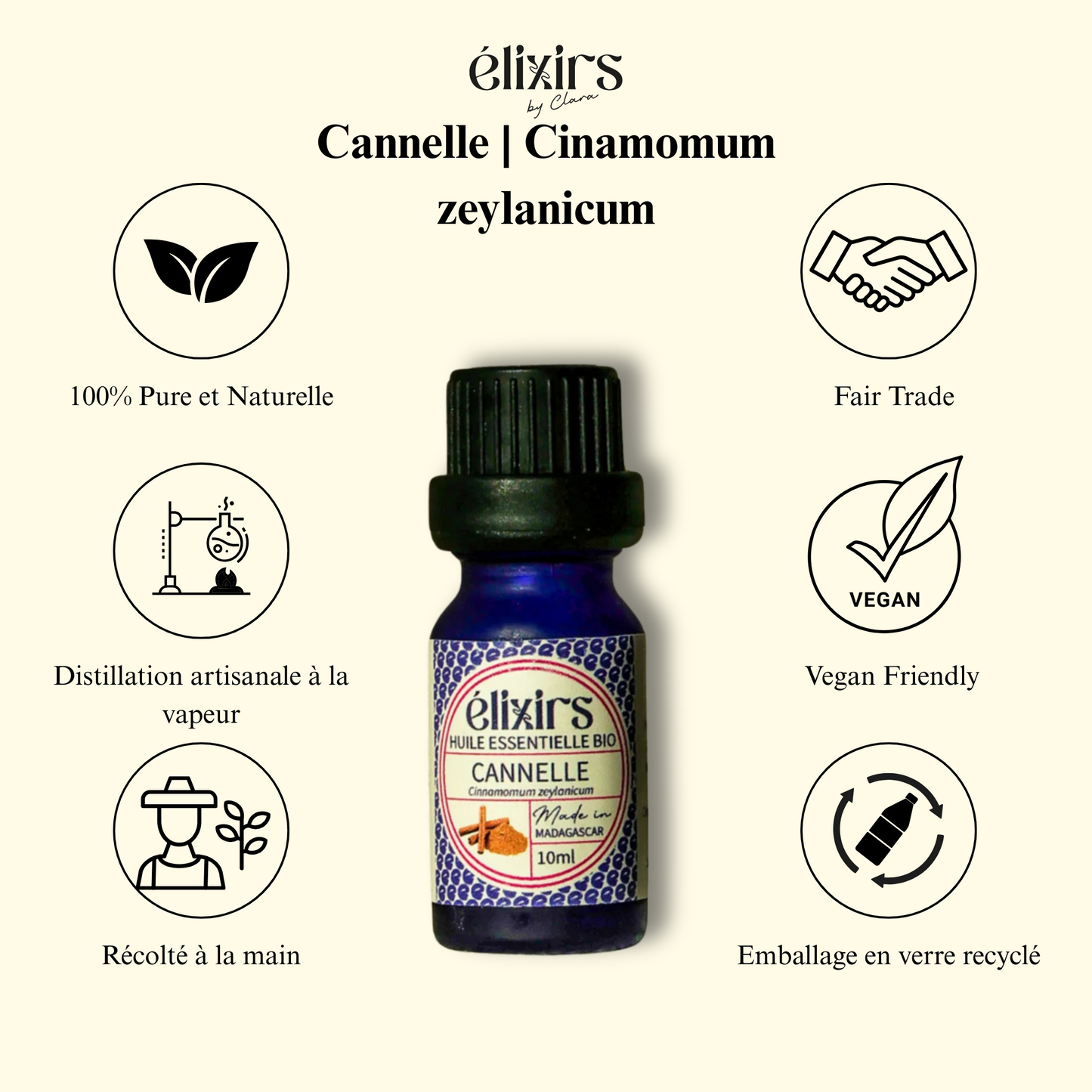 Cannelle | Cinamomum zeylanicum