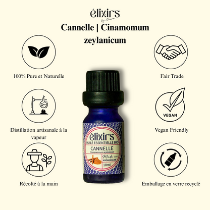 Cannelle | Cinamomum zeylanicum