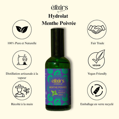 Peppermint | Hydrosol Mentha piperita
