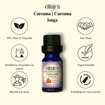Curcuma | Curcuma Longa