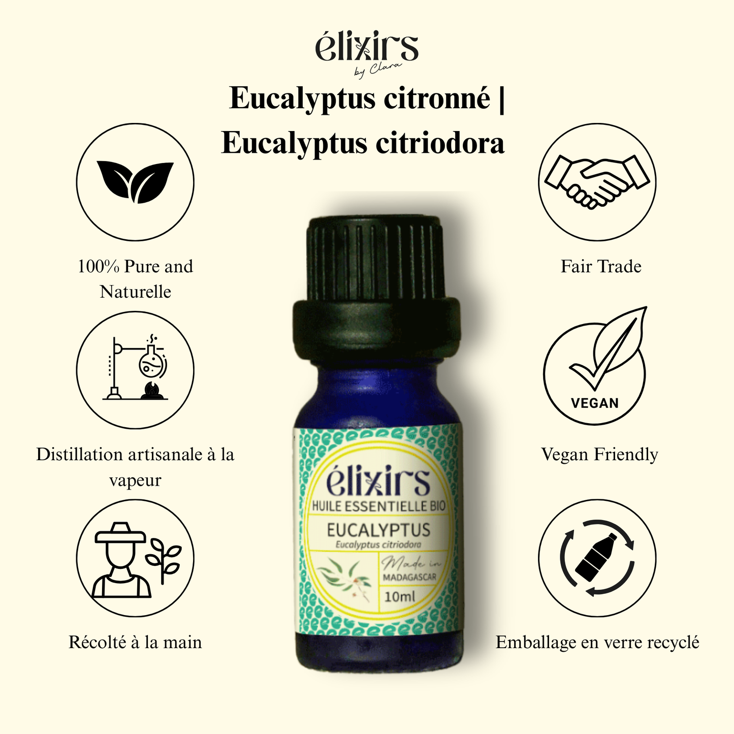 Eucalyptus | Eucalyptus citriodora