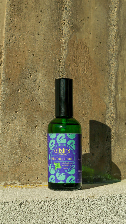 Peppermint | Hydrosol Mentha piperita