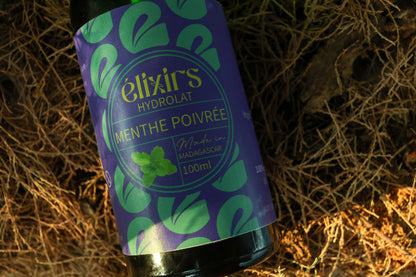 Peppermint | Hydrosol Mentha piperita