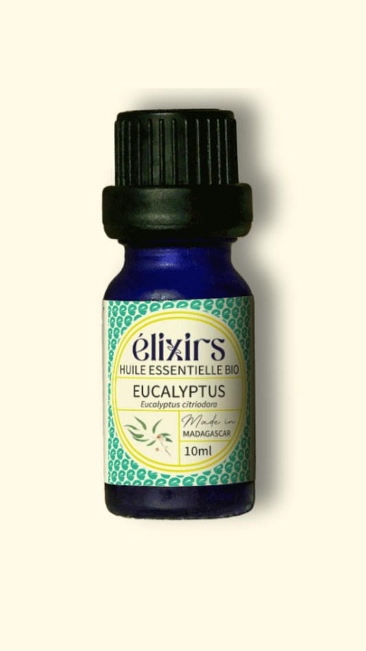 Eucalyptus | Eucalyptus citriodora